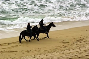 horseback riding on the monterey bay