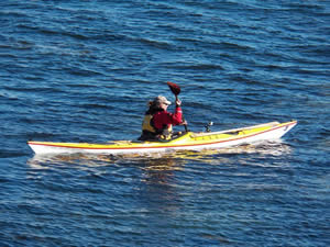 kayaking on the monterey bay